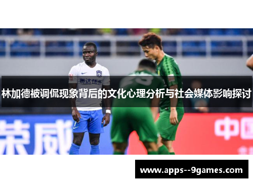 林加德被调侃现象背后的文化心理分析与社会媒体影响探讨